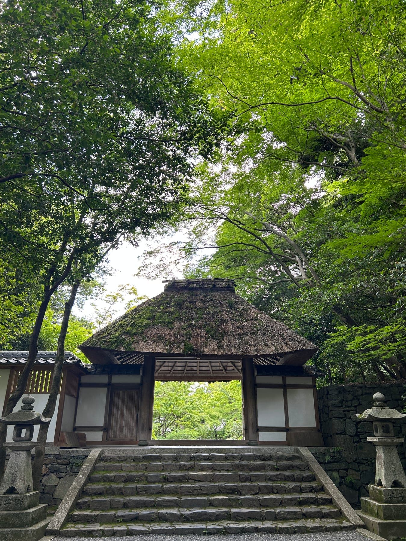 Portail traditionnel à toit de chaume dans la verdure